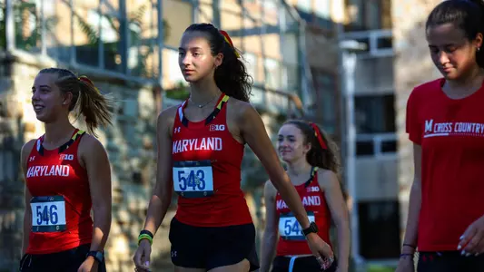 Navy Invite Preview