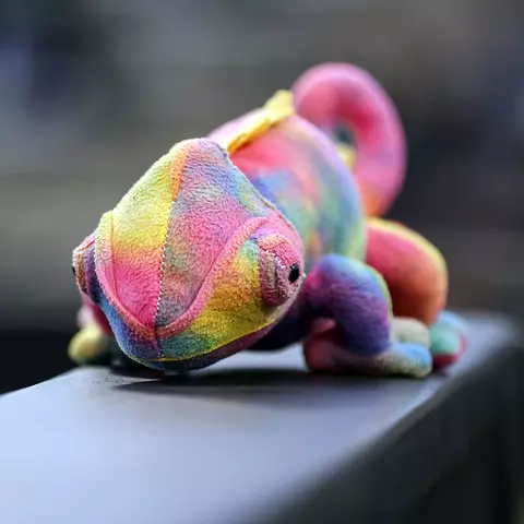 One of Maryland softball's stuffed animals