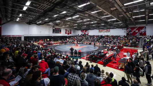 Wrestling Crowd