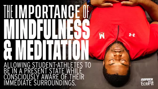 The Importance of Mindfulness & Meditation