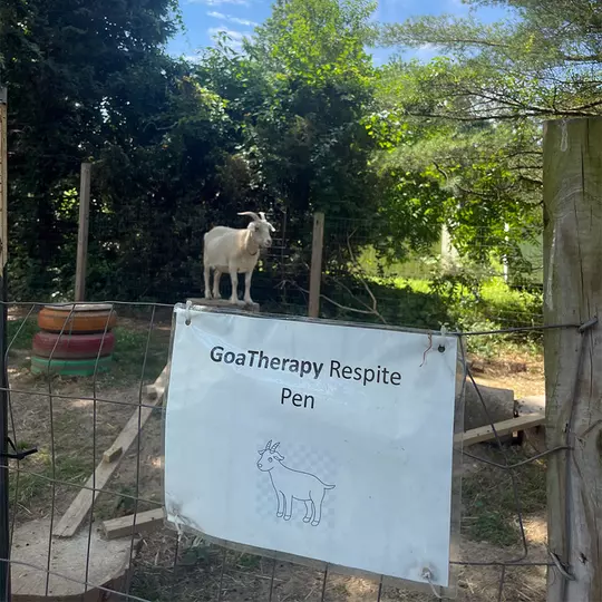 My Heart’s Home Goat Pen