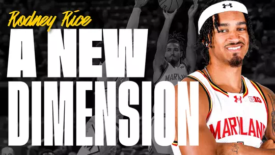 Rodney Rice: A New Dimension