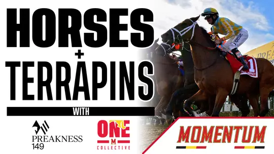 Horses + Terrapins