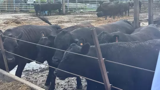 Big Ten Conference’s Big Life Agricultural Experience