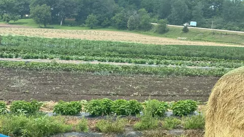 Big Ten Conference’s Big Life Agricultural Experience