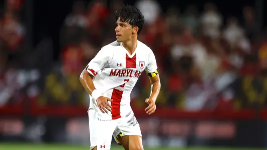 Luca Costabile