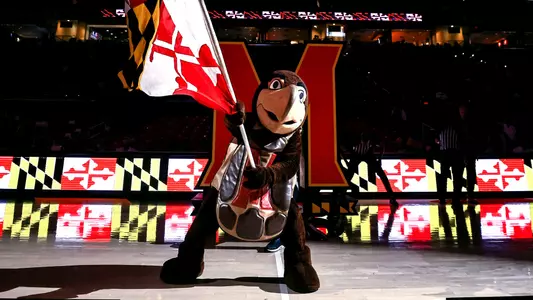 Testudo