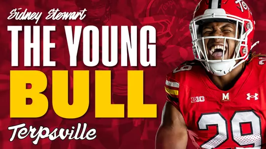 Sidney Stewart: The Young Bull