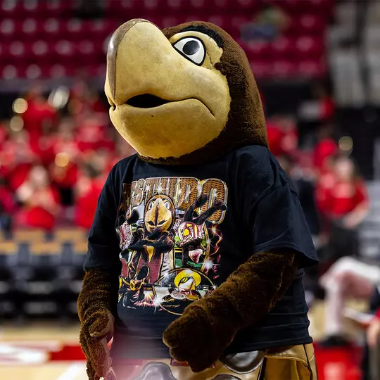 Testudo wearing his NIL t-shirt by Brown Boy Nation