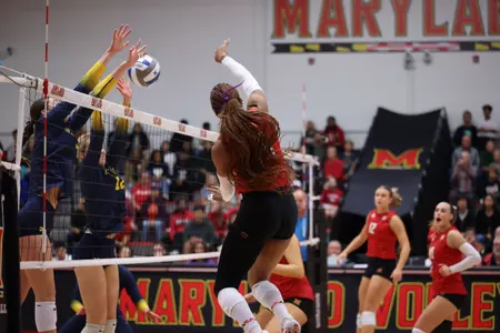 Volleyball Kill Michigan