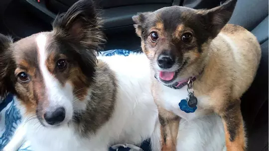 Penny and Tiny