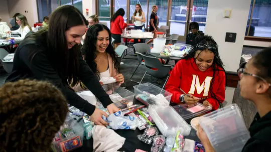 Gossett Fellows: Hygiene Accessibility