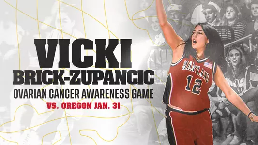 Vicki Brick game graphic