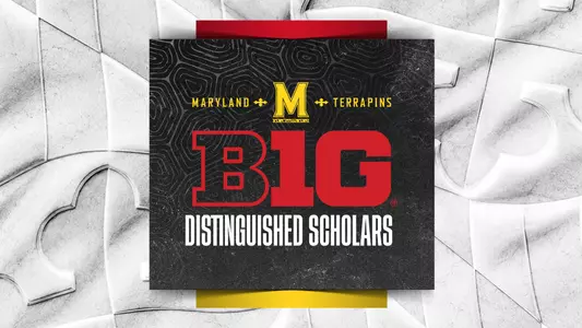Big Ten Distinguished Scholars
