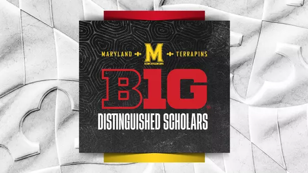 Big Ten Distinguished Scholars