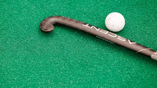 Field Hockey Stick and Ball