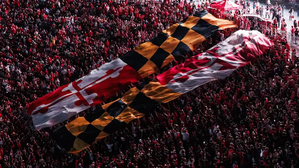 Maryland Flag at SECU