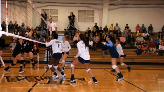 UNC Blanks Wake Forest, 3-0