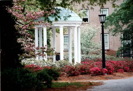 GoHeels Weekly Primer