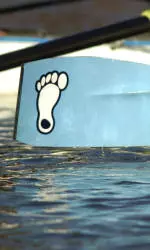 Carolina Women's Rowing Tryouts Fact Sheet