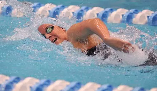 Peacock Takes Runnerup Honors In 500 Free At ACCs