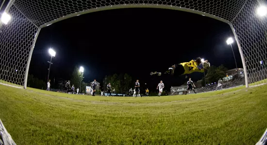 Newcomers Earn Academy Honors