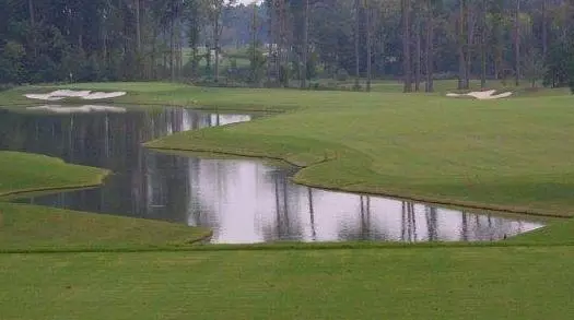 Play Finley on Patriot Golf Day