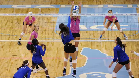 Carolina's Turn It Pink Night Raises More Than $3,700