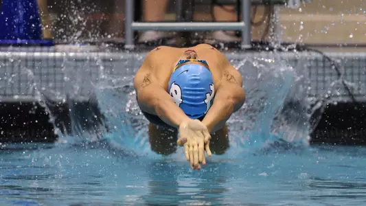 Carolina Sweeps Dual Meets From Louisville Cardinals