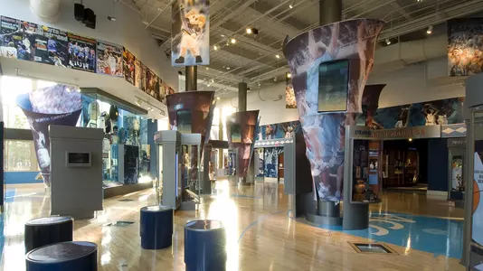 Basketball Museum Reduced Hours Saturday