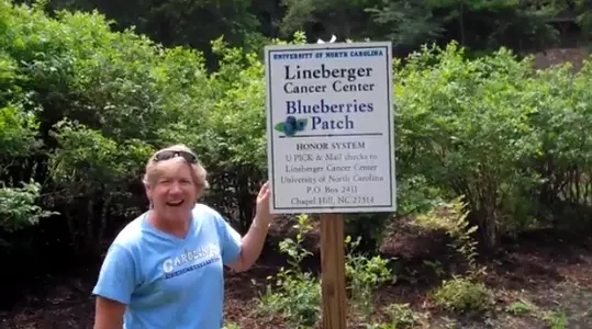 Hatchell's Blueberry Patch Ready For '13