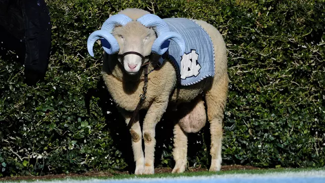 Traditions - Mascot