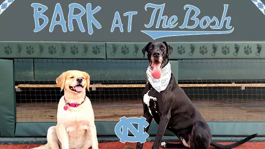 Bark At The Bosh Tickets On Sale Now