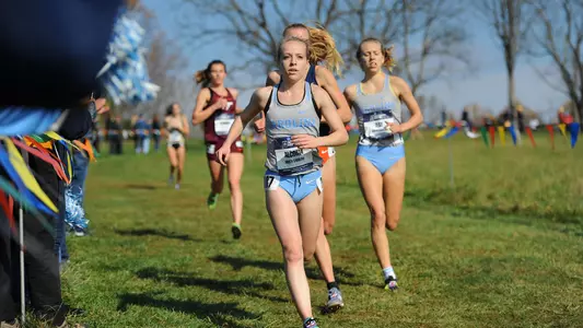 Alcorta, Ilse Regional