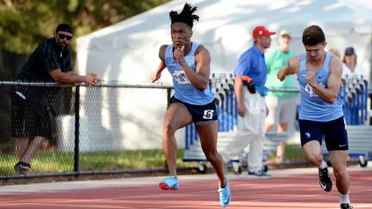 Saypadia DeSaussure II