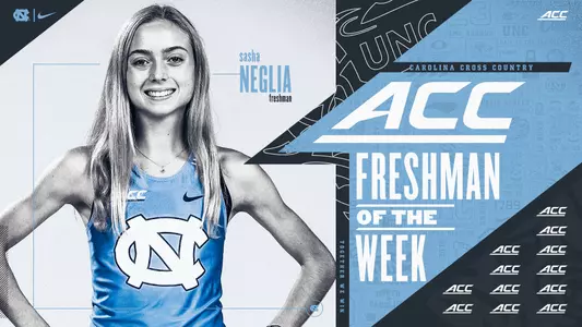 Sasha Neglia graphic