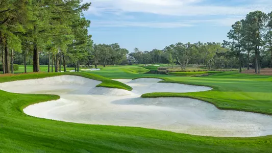 course for Williams Cup