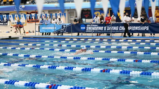 NCAA Swim Photo
