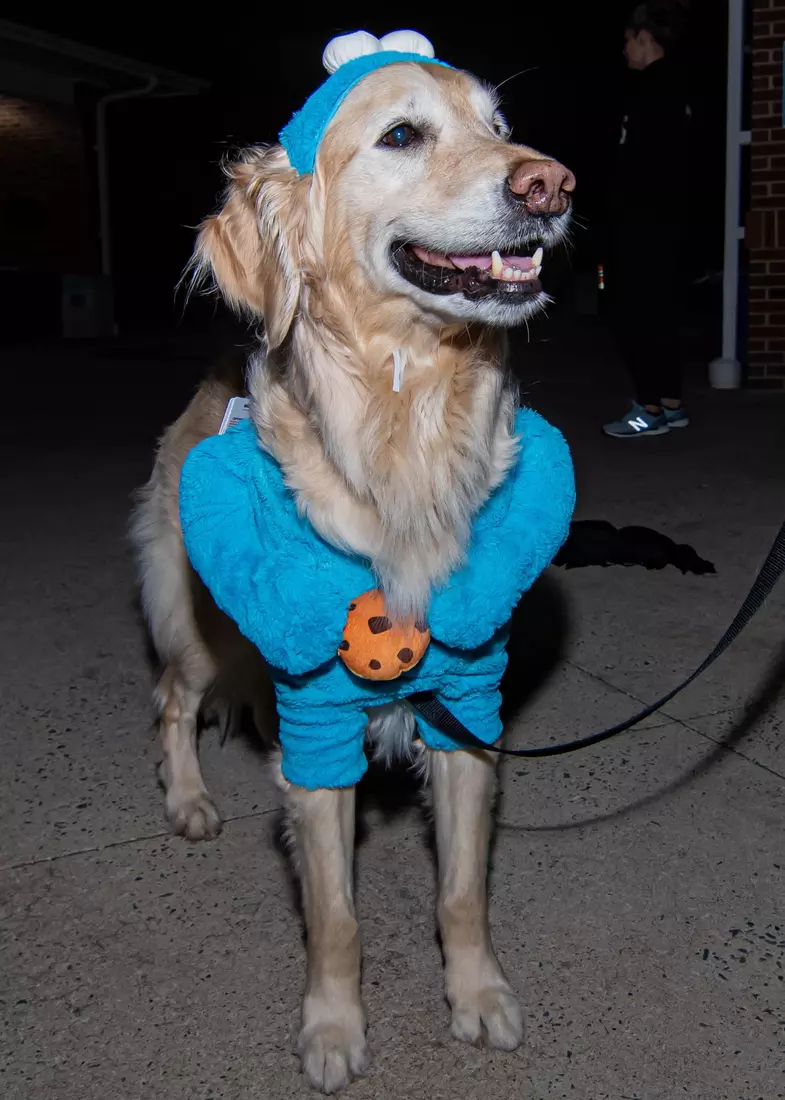 LaxBall 2022 at Anderson Softball Stadium.