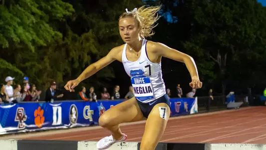 Sasha Neglia