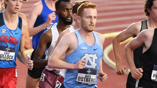 Alex Ostberg