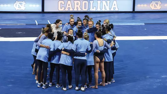 Gymnastics Team