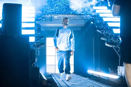 Lucas: Versatile Withers Fits In Image