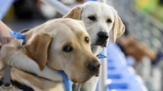 Dogs at Dorrance
University of North Carolina Soccer v ETSU
Dorrance Field
Chapel Hill, NC
Tuesday, September 13, 2022