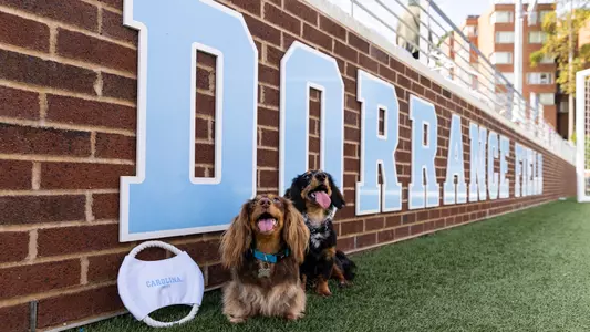 Dogs at Dorrance Fall 2025