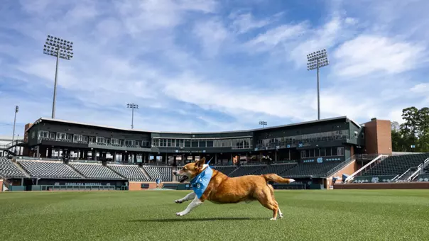 Cody Berry running at Boshamer Stadium