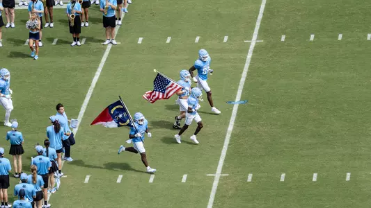 Team Runout With Flags