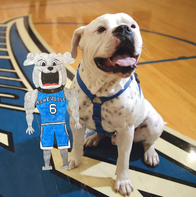 Flat Rocky's Best Friend