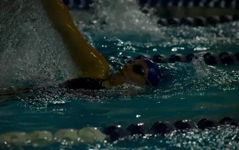 Women's Swimming Travel to Charlotte for Wingate Fall Frenzy Image