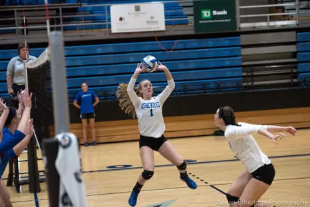 Bulldogs Fall to LIU Brooklyn in Season Opener Image